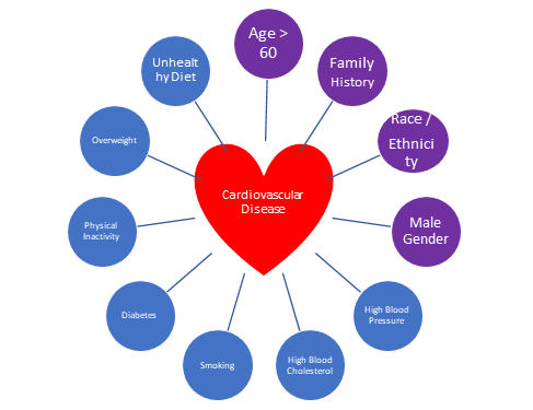 cardiovascular disease risk factors