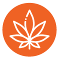 SDS Management for Cannabis Producers by Chemscape Safety Technologies